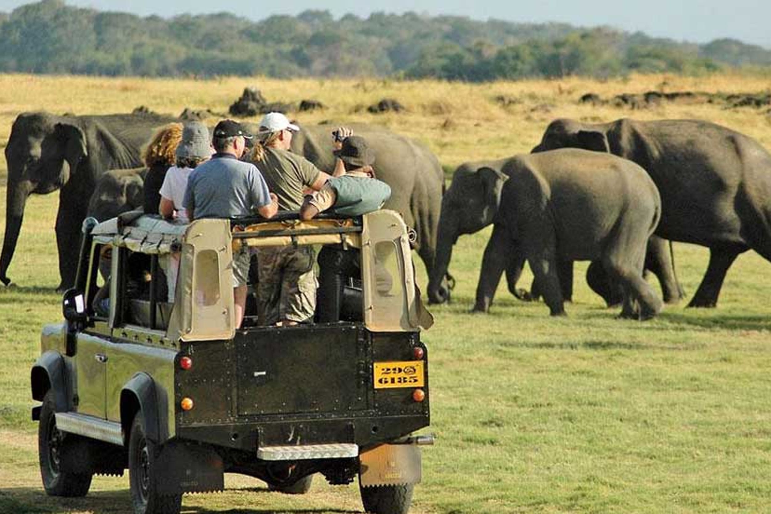 5_days_yala_safari https://srilankatourdriverwithcar.com/wp-content/uploads/2019/12/5_days_yala_safari.jpg