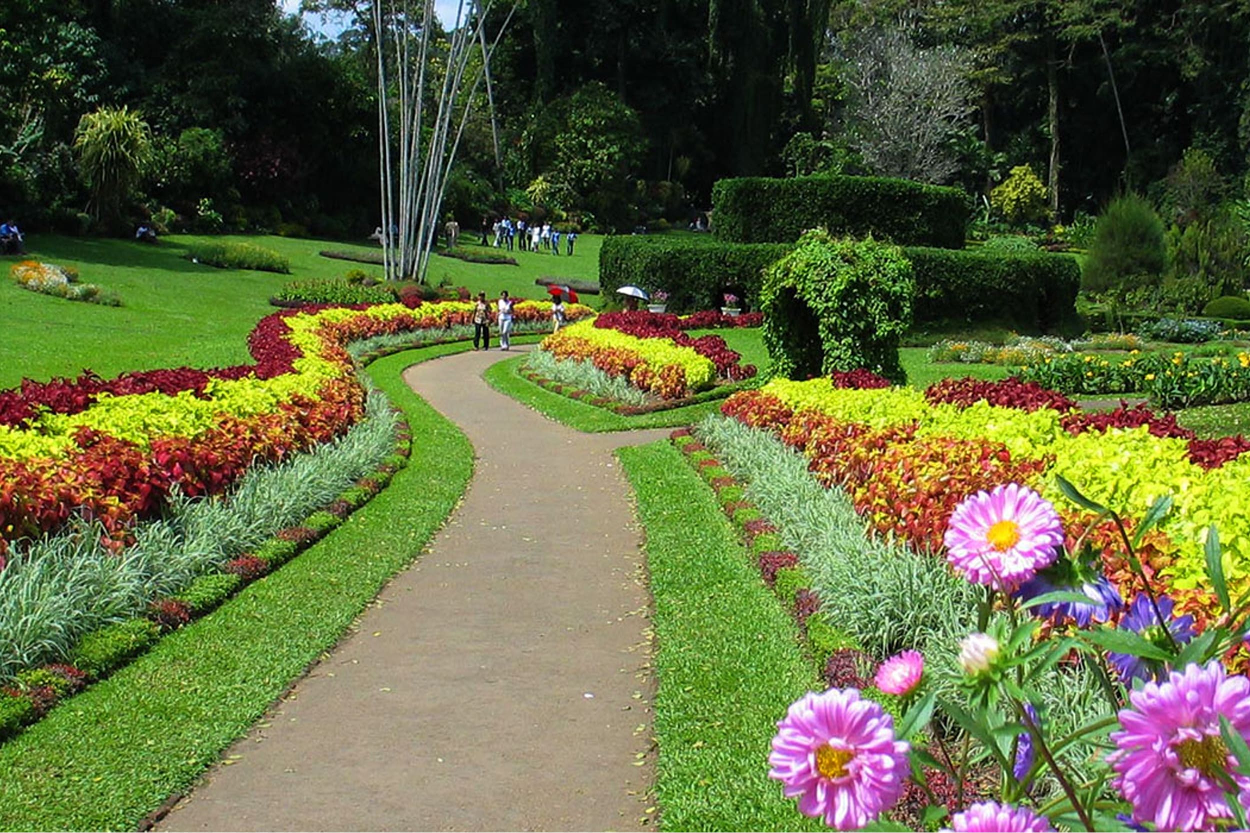 6_days_royal_botanical_gardens_kandy https://srilankatourdriverwithcar.com/wp-content/uploads/2019/12/6_days_royal_botanical_gardens_kandy.jpg