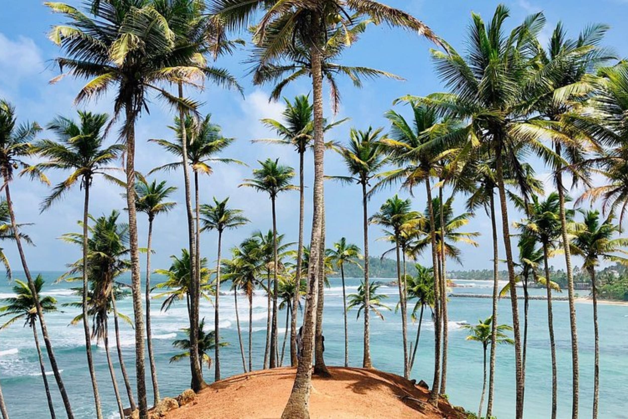 coconut-tree-hill-mirissa https://srilankatourdriverwithcar.com/wp-content/uploads/2019/12/coconut-tree-hill-mirissa.jpg