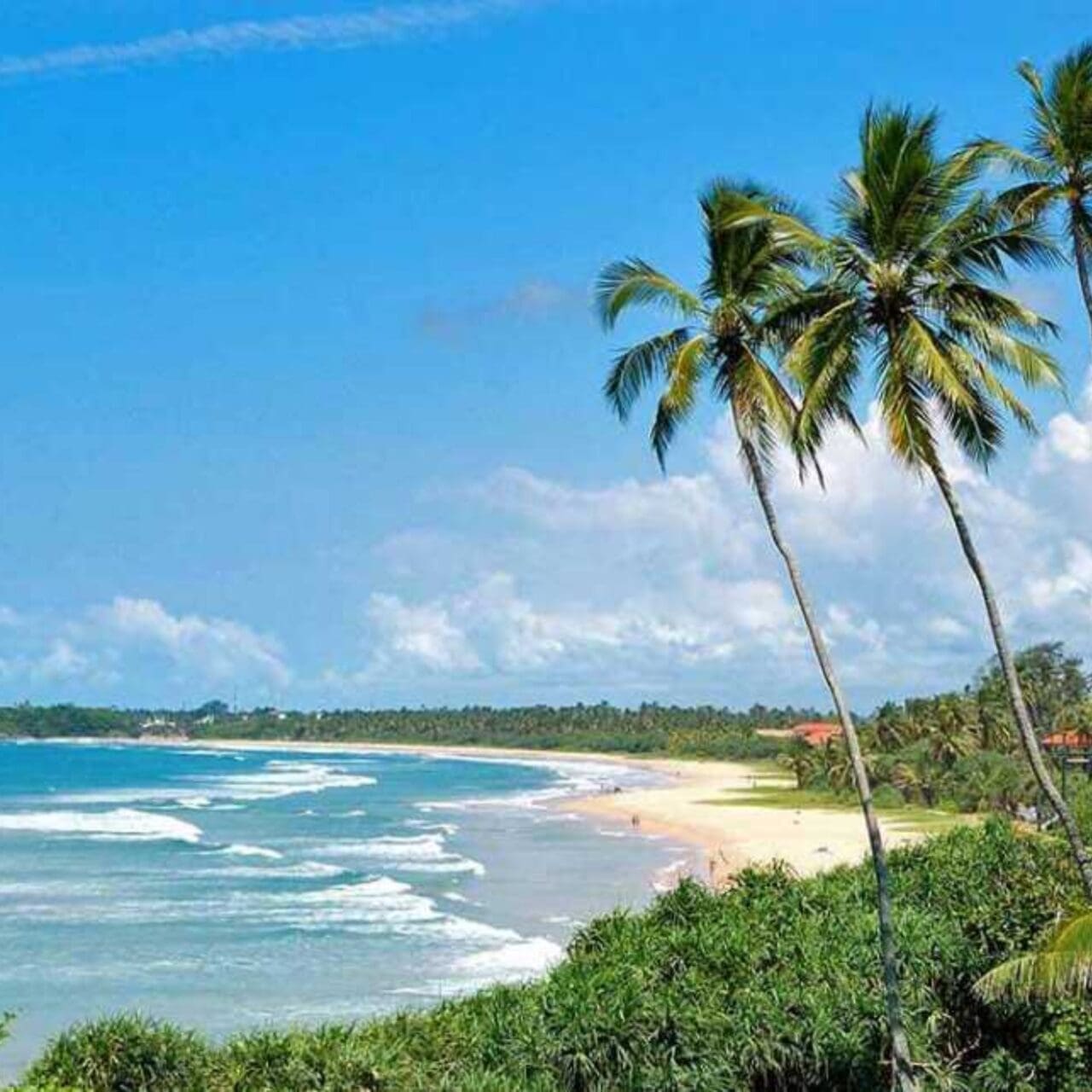 https://srilankatourdriverwithcar.com/wp-content/uploads/2025/05/bentota-sri-lanka-1280x1280.jpg