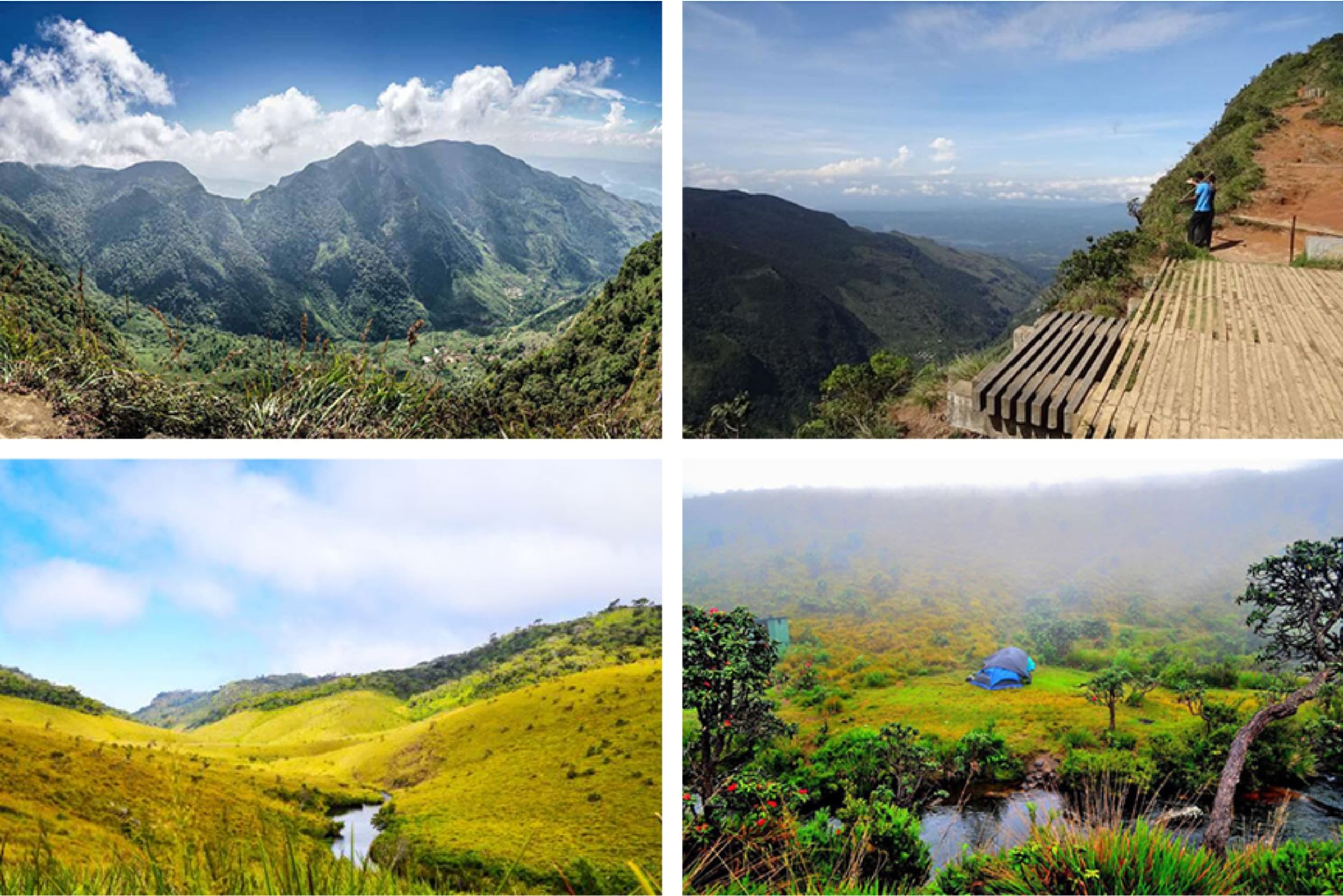 horton-plains-national-park-sri-lanka https://srilankatourdriverwithcar.com/wp-content/uploads/2025/05/horton-plains-national-park-sri-lanka.jpg