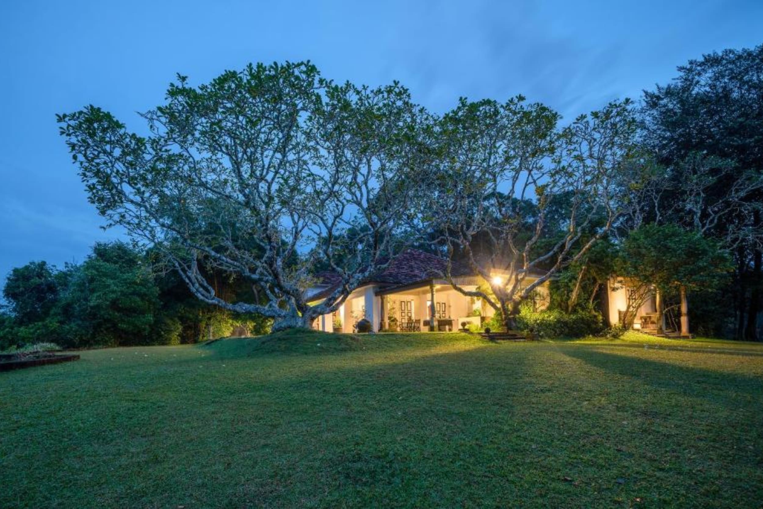 lunuganga-estate-bentota-sri-lanka https://srilankatourdriverwithcar.com/wp-content/uploads/2025/05/lunuganga-estate-bentota-sri-lanka.jpg
