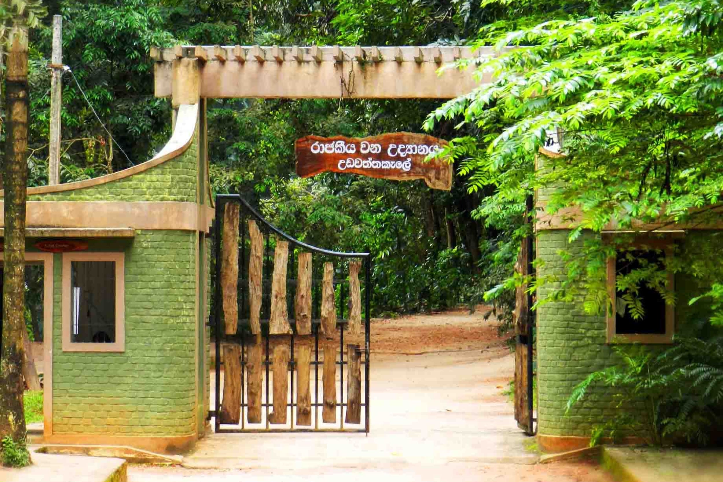 udawattekele-sanctuary-sri-lanka https://srilankatourdriverwithcar.com/wp-content/uploads/2025/05/udawattekele-sanctuary-sri-lanka.jpg