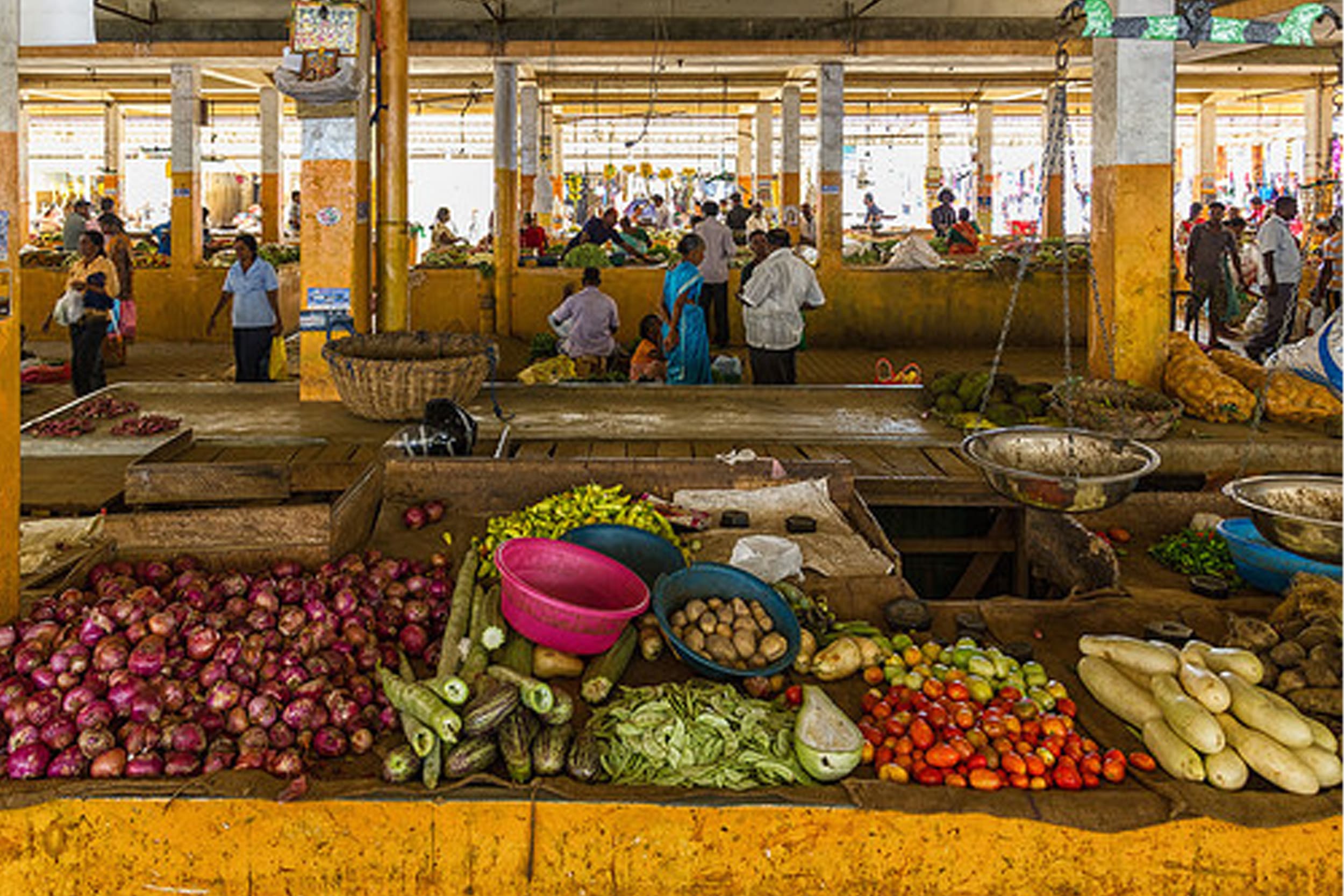 bridge-market-pasikuda https://srilankatourdriverwithcar.com/wp-content/uploads/2025/10/bridge-market-pasikuda.jpg