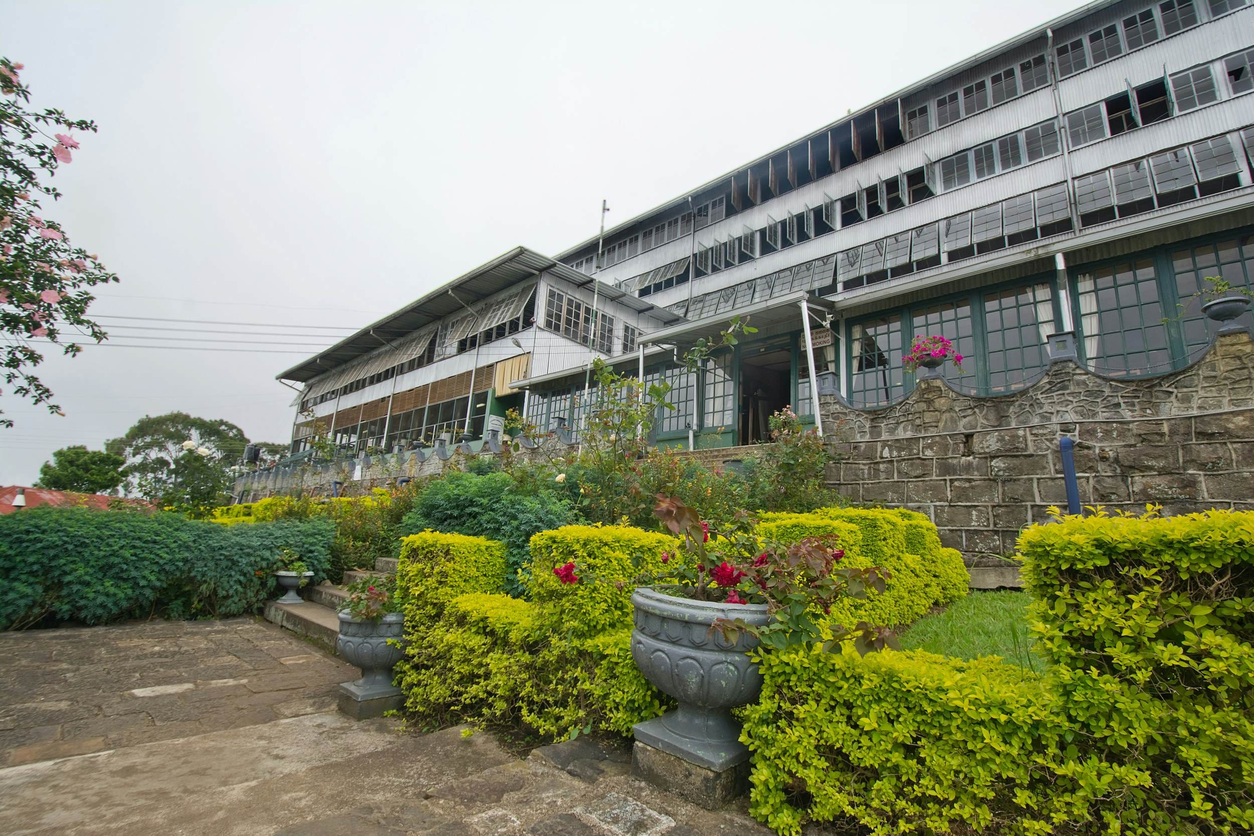 dambatenna-tea-factory-haputale https://srilankatourdriverwithcar.com/wp-content/uploads/2025/10/dambatenna-tea-factory-haputale.jpg