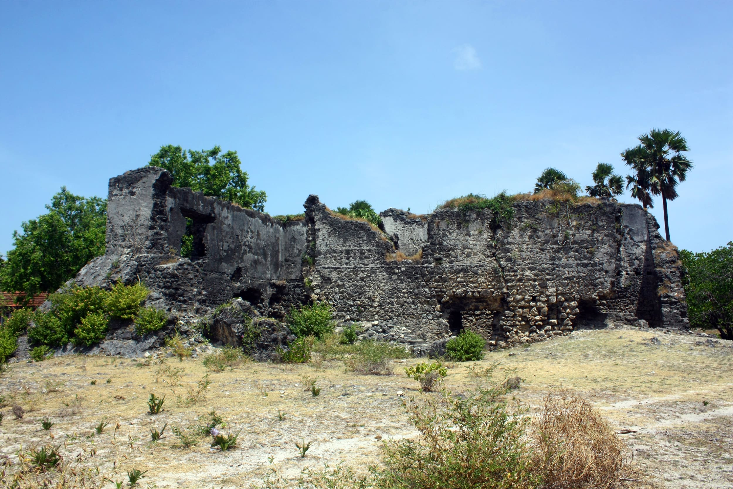 https://srilankatourdriverwithcar.com/wp-content/uploads/2025/10/delft-island-neduntheevu-jaffna.jpg