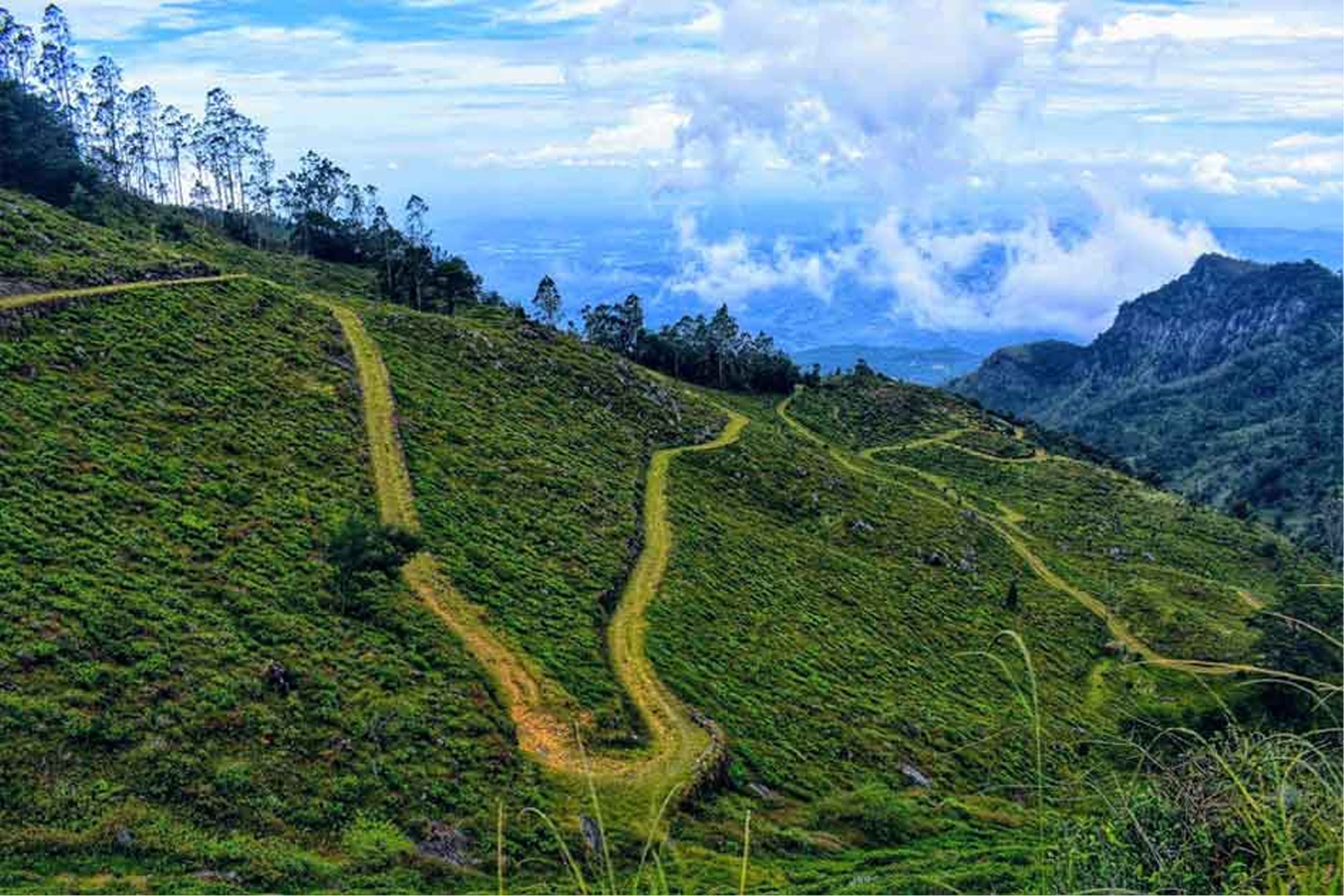 devils-starecase-haputale https://srilankatourdriverwithcar.com/wp-content/uploads/2025/10/devils-starecase-haputale.jpg