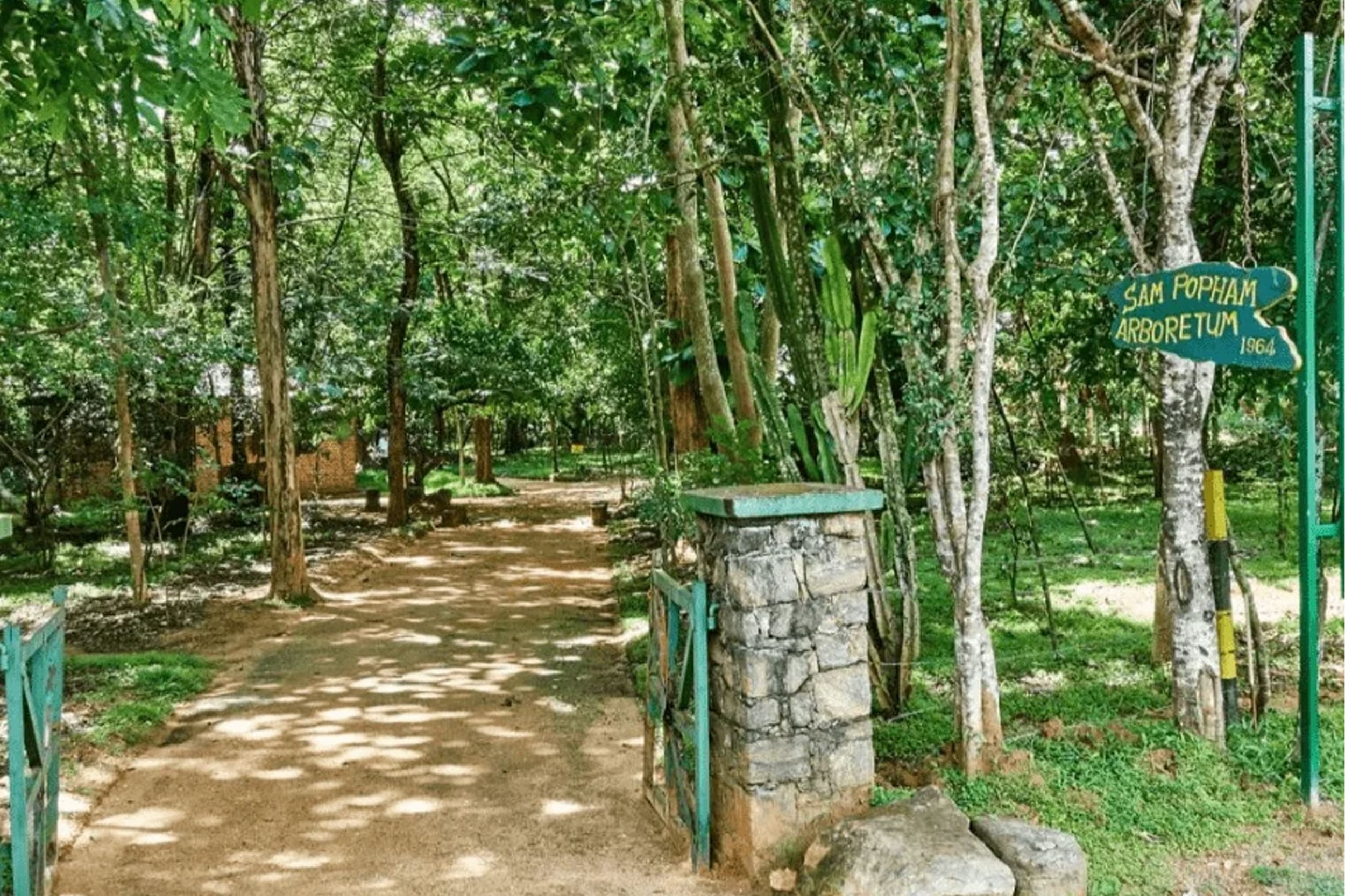 https://srilankatourdriverwithcar.com/wp-content/uploads/2025/10/pophams-arboretum-dambulla.jpg